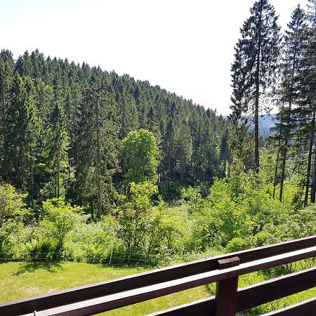 Fewo Waldblick Sankt Andreasberg Ngoại thất bức ảnh